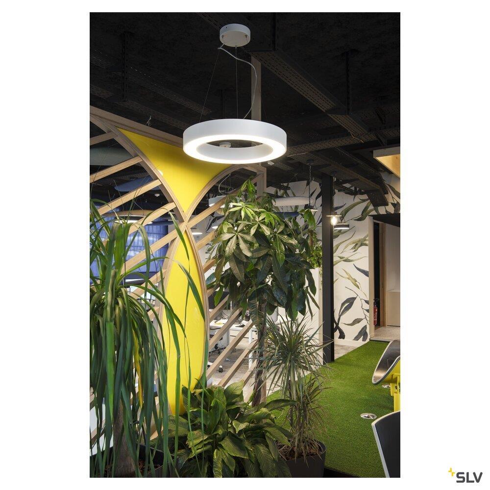 Afbeeldingen van MEDO RING 60 DALI, indoor LED hanglamp, wit, 3000K